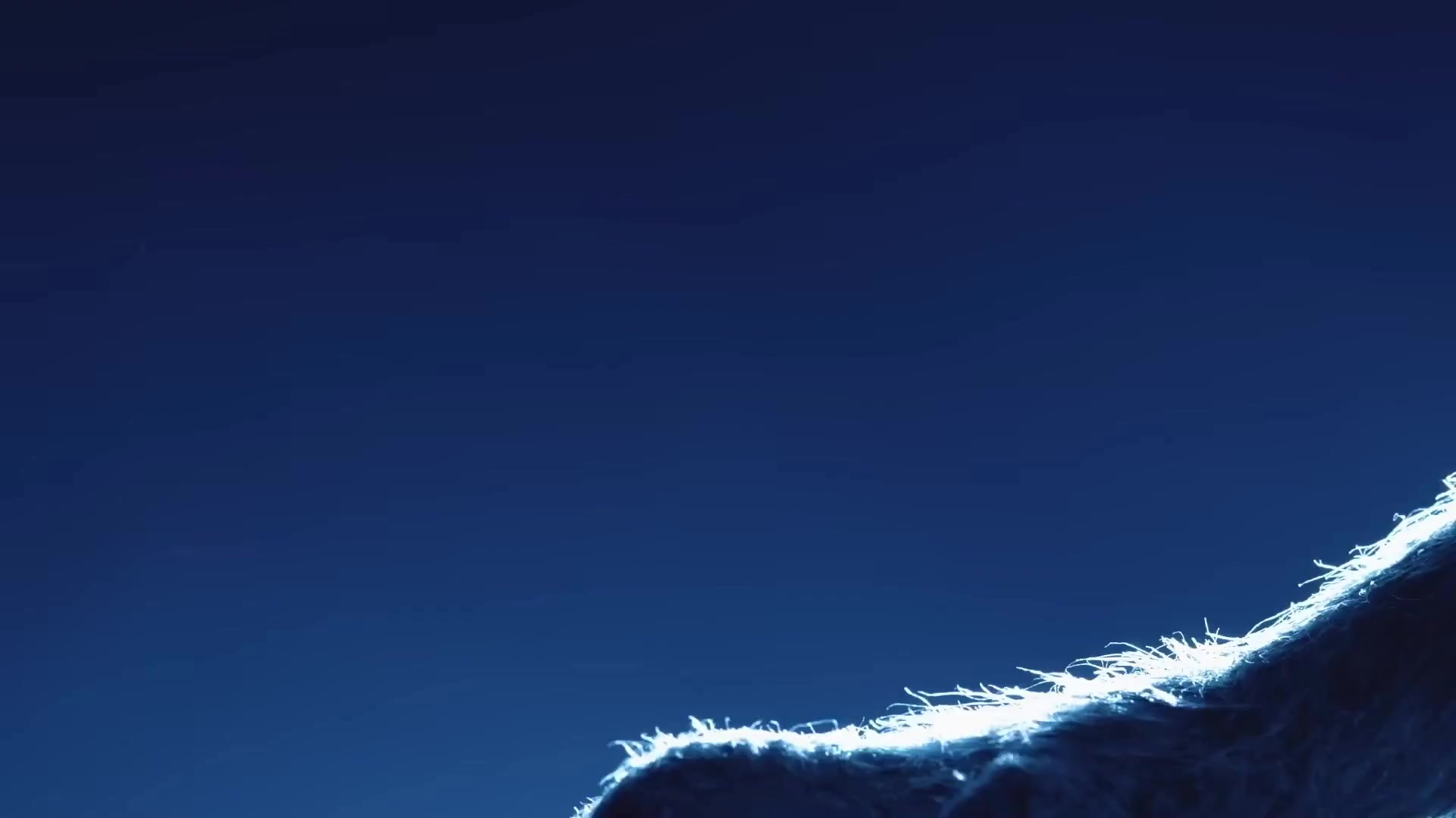 [Tsukyio Editing Resources] Beastars OP Precut_16-10x-RIFE-RIFE4.0-239.7602fps (tsukyioxyz).mp4